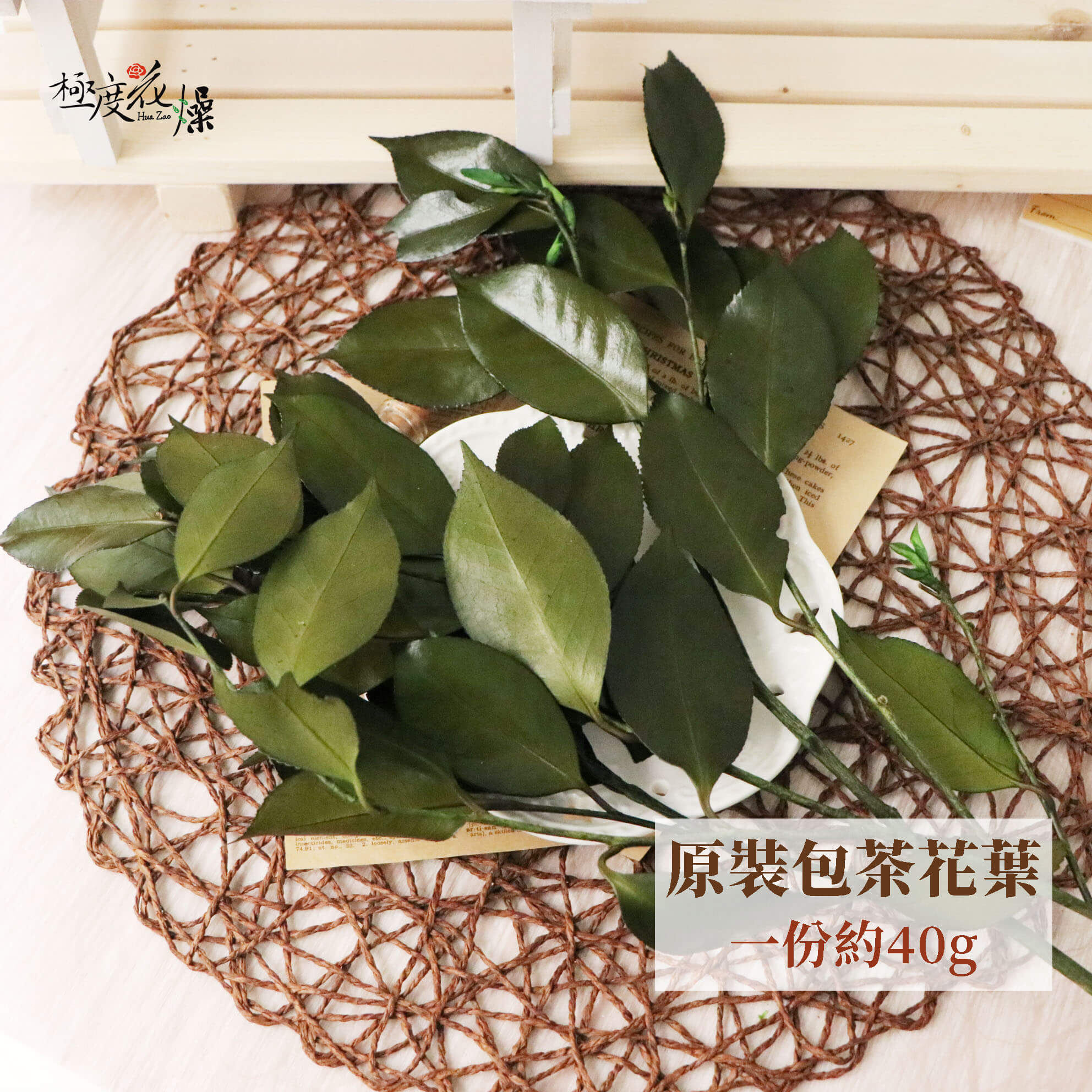 整包單選_茶花葉 拷貝
