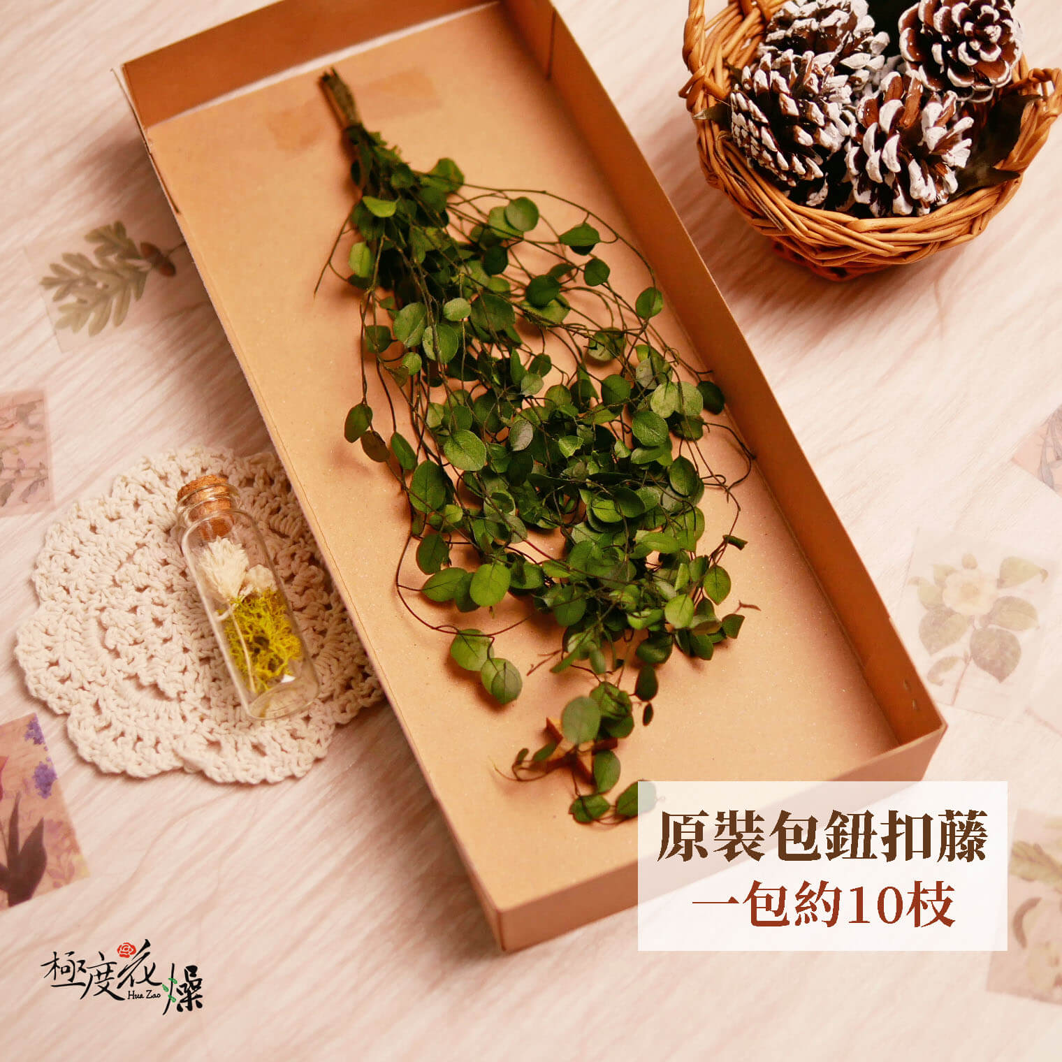 整包單選_鈕扣藤 拷貝