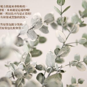整包安全圖_大地小葉尤加利 拷貝