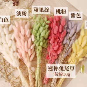 整包新色_迷你兔尾
