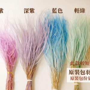 整包色二_羽毛草 拷貝_21