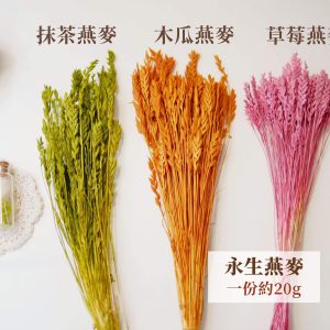 整包規格 _永生燕麥