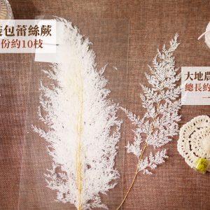 整包規格 拷貝