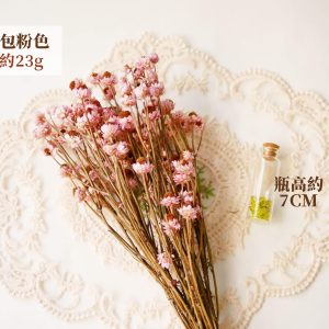 整包規格__粉色洋甘菊 拷貝