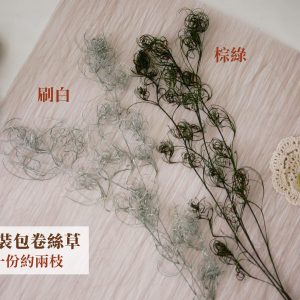 整包規格_卷絲草 拷貝