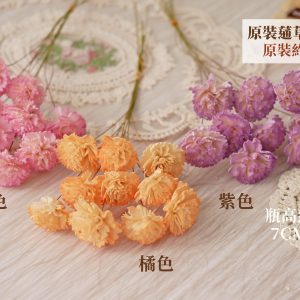 整包規格_大地農園蓪草康乃馨 拷貝