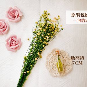 整包規格_臨花 拷貝