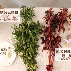 整包規格_馬醉木葉 拷貝