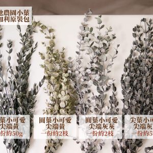 大地農園 永生小葉尤加利葉