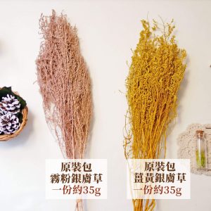 整包規格一_整包永生銀膚草