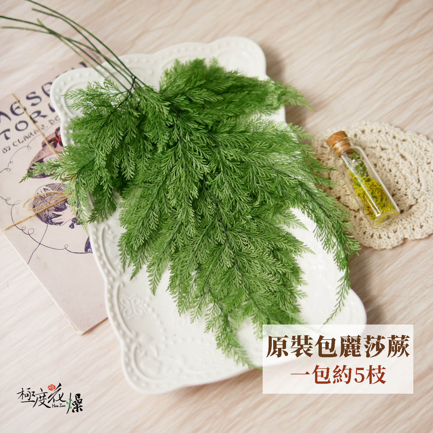 整包選項_麗莎蕨 拷貝
