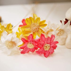 新二 _小松花