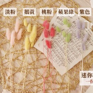 新單枝色_迷你兔尾