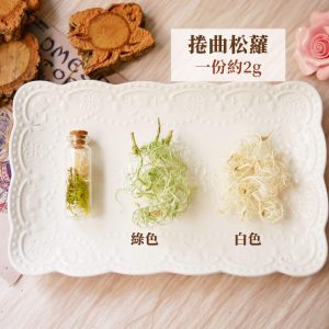 新規格_捲曲松蘿 拷貝