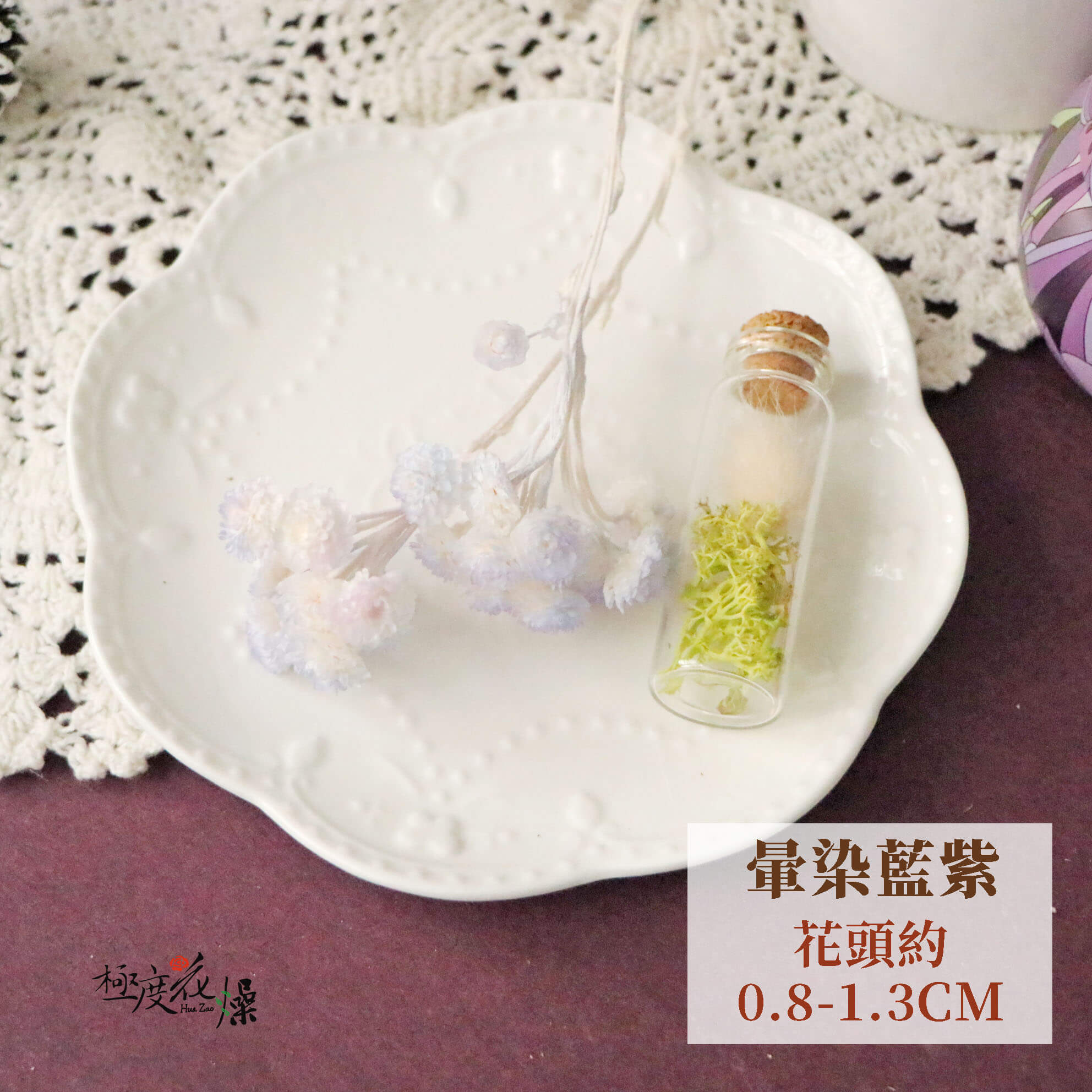 暈染藍紫_蠟菊