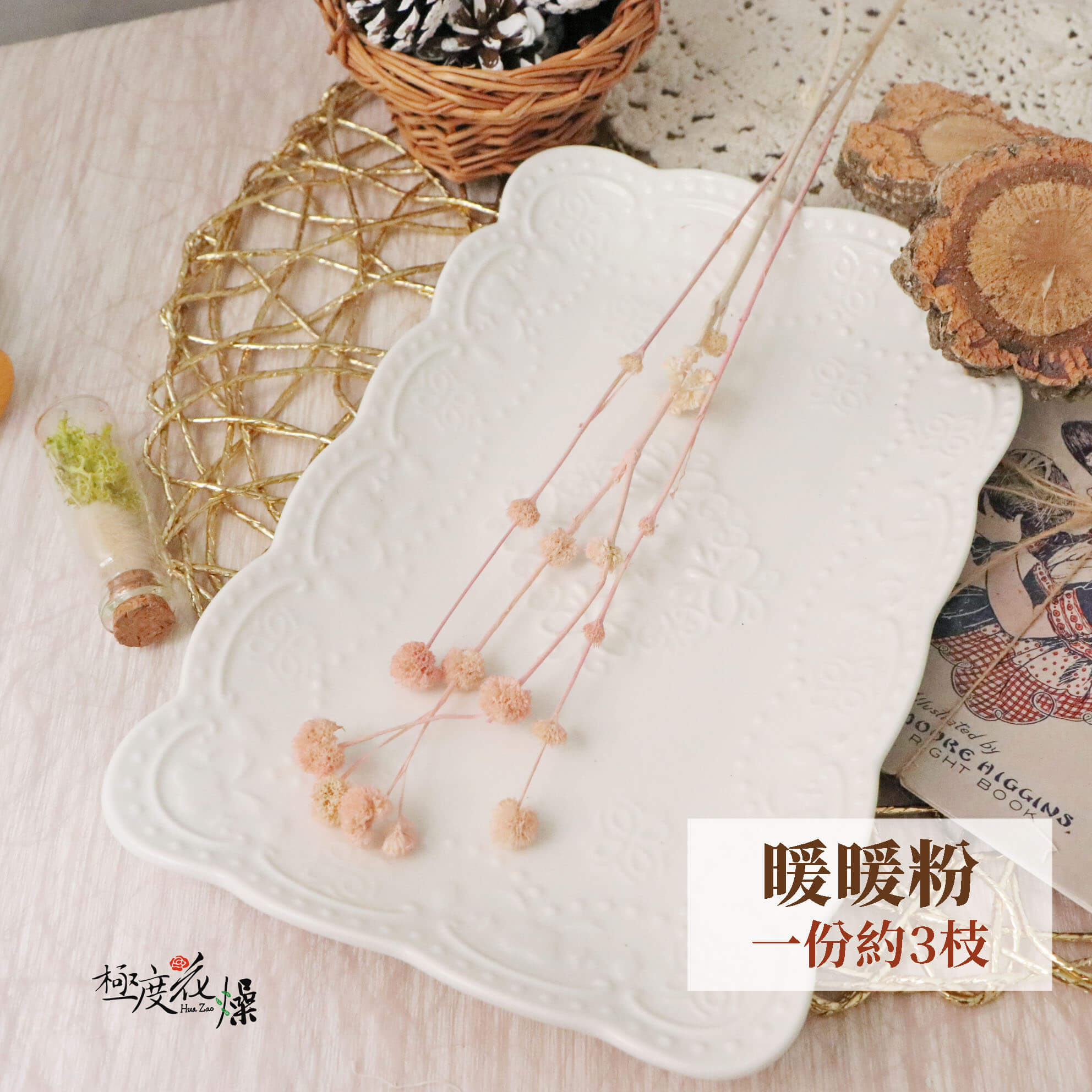 暖暖粉 _永生小乒乓