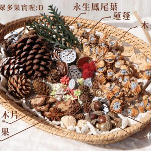 果實拼盤_月桃