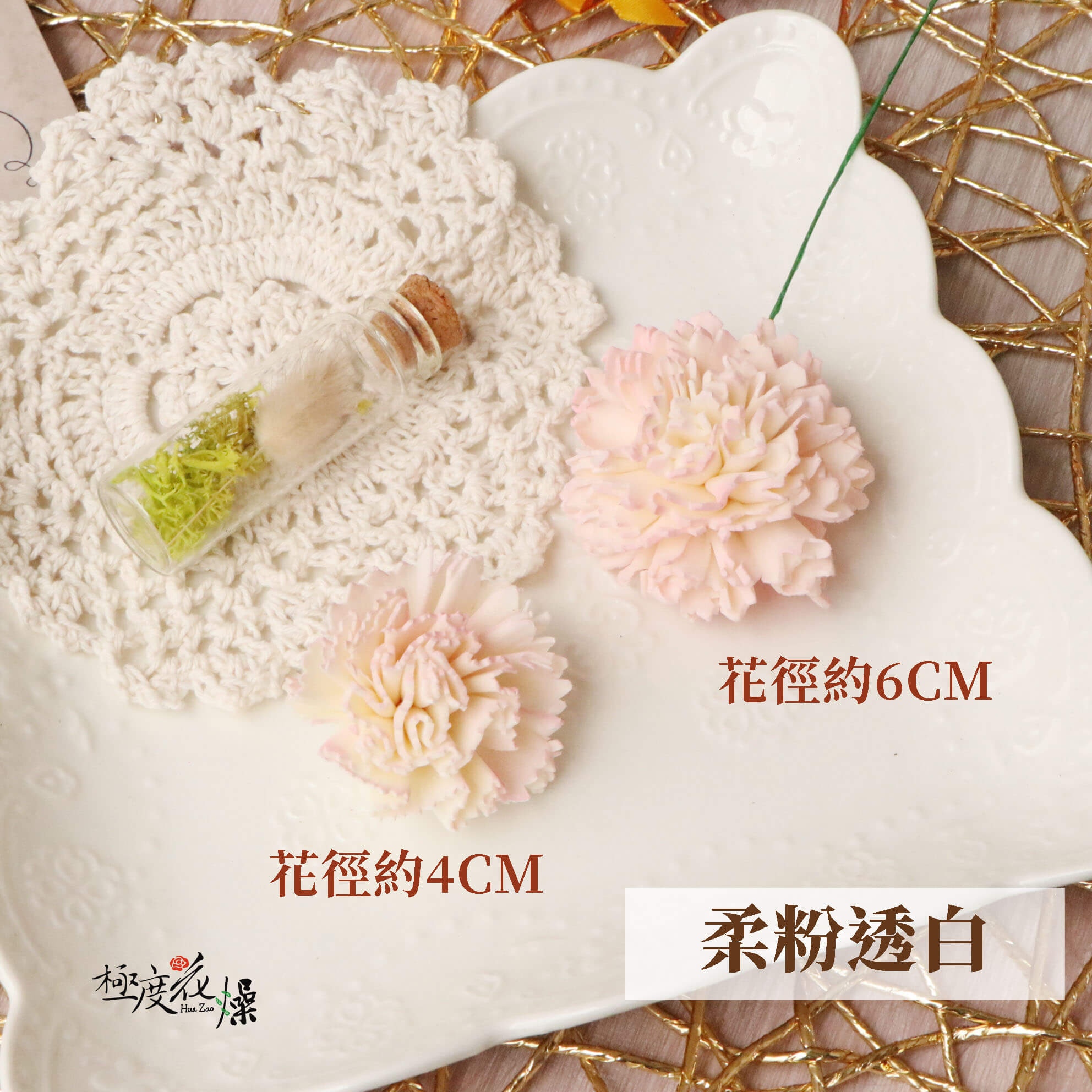 柔粉透白 _蓪草雙色康乃馨