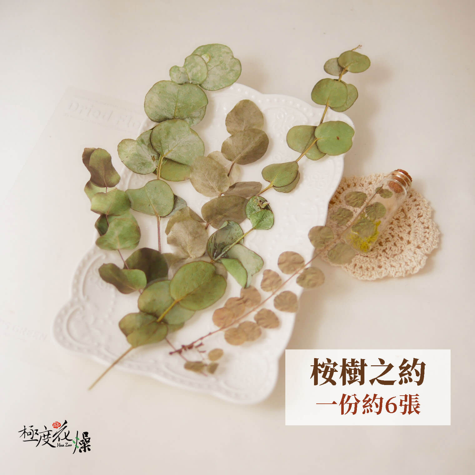 桉樹之約_透明貼紙 拷貝e3