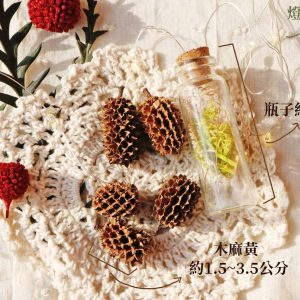 標一 _木麻黃