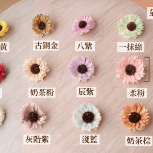 標色 _向日葵