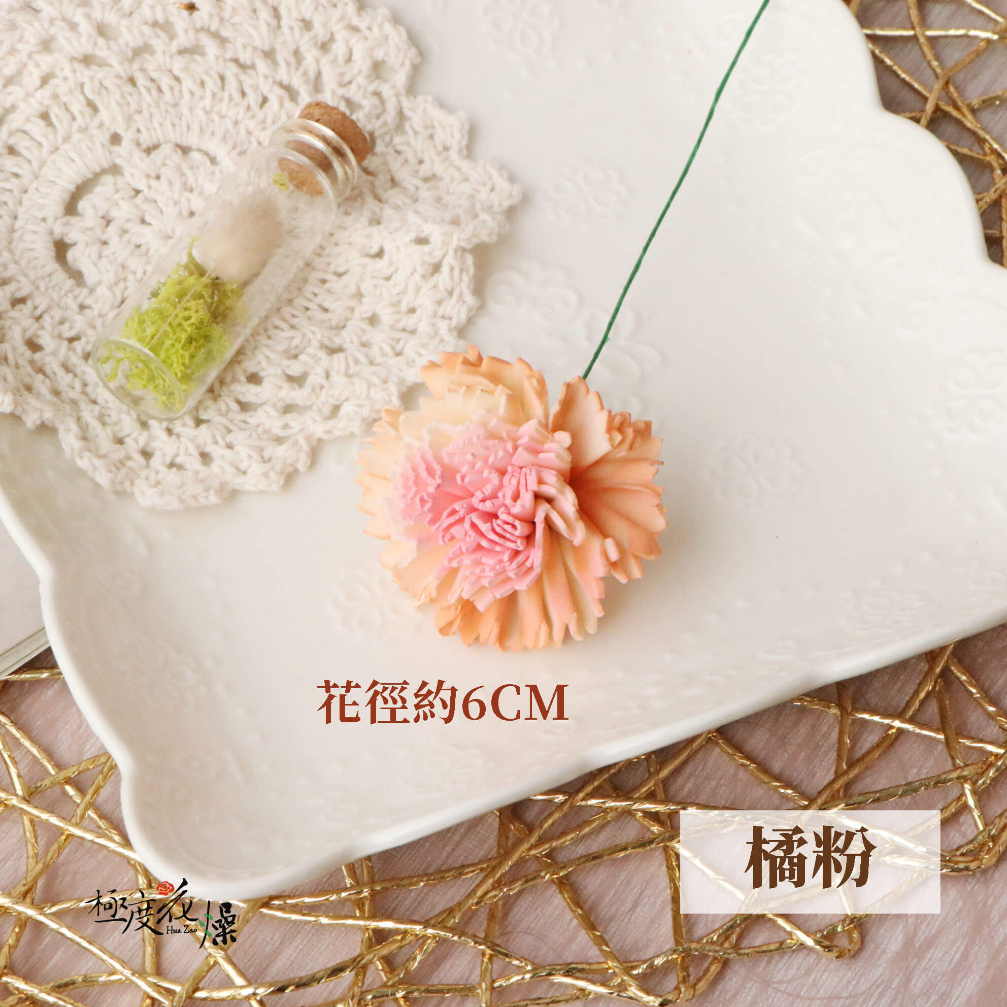 橘粉 拷貝_蓪草雙色康乃馨