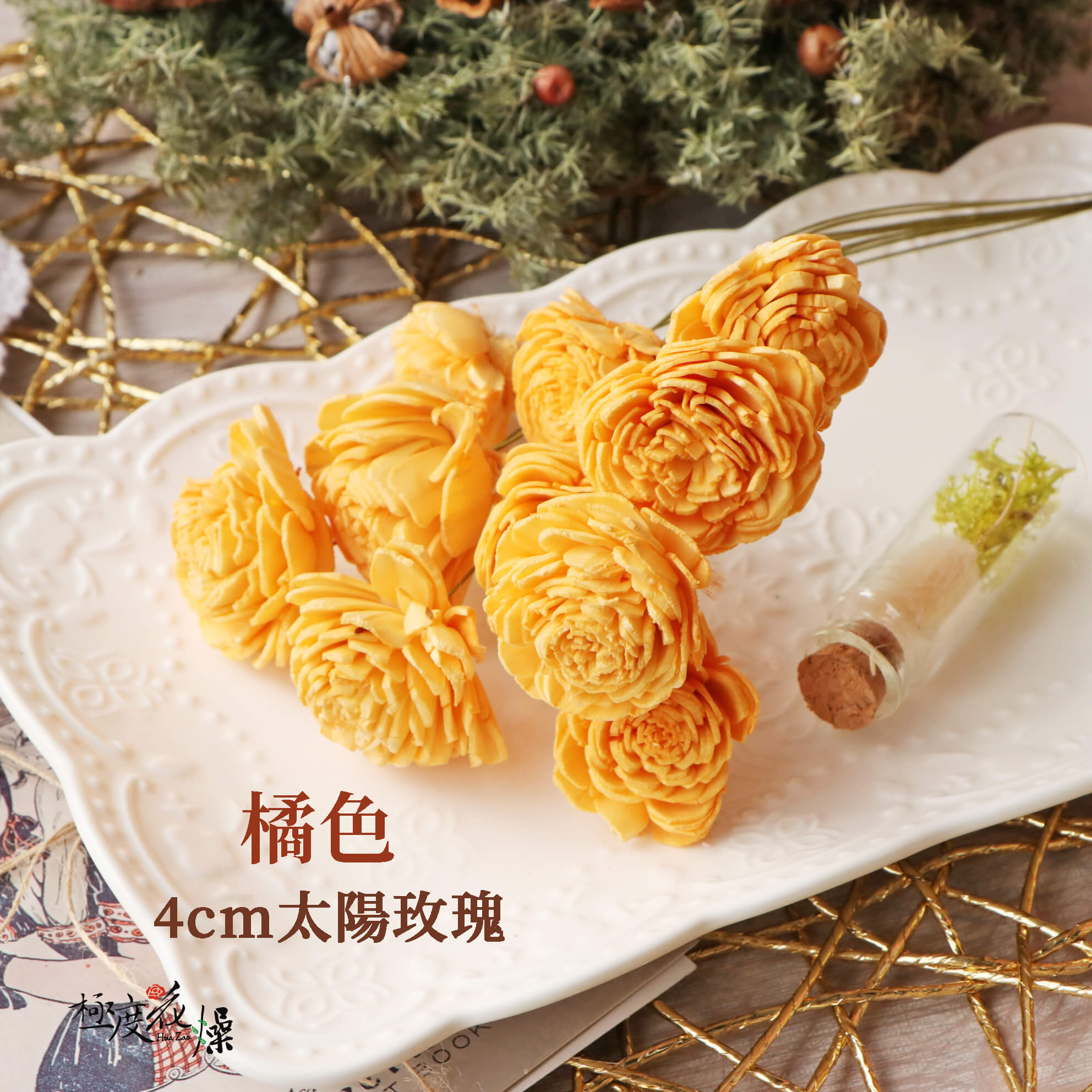 橘色_4太陽玫瑰