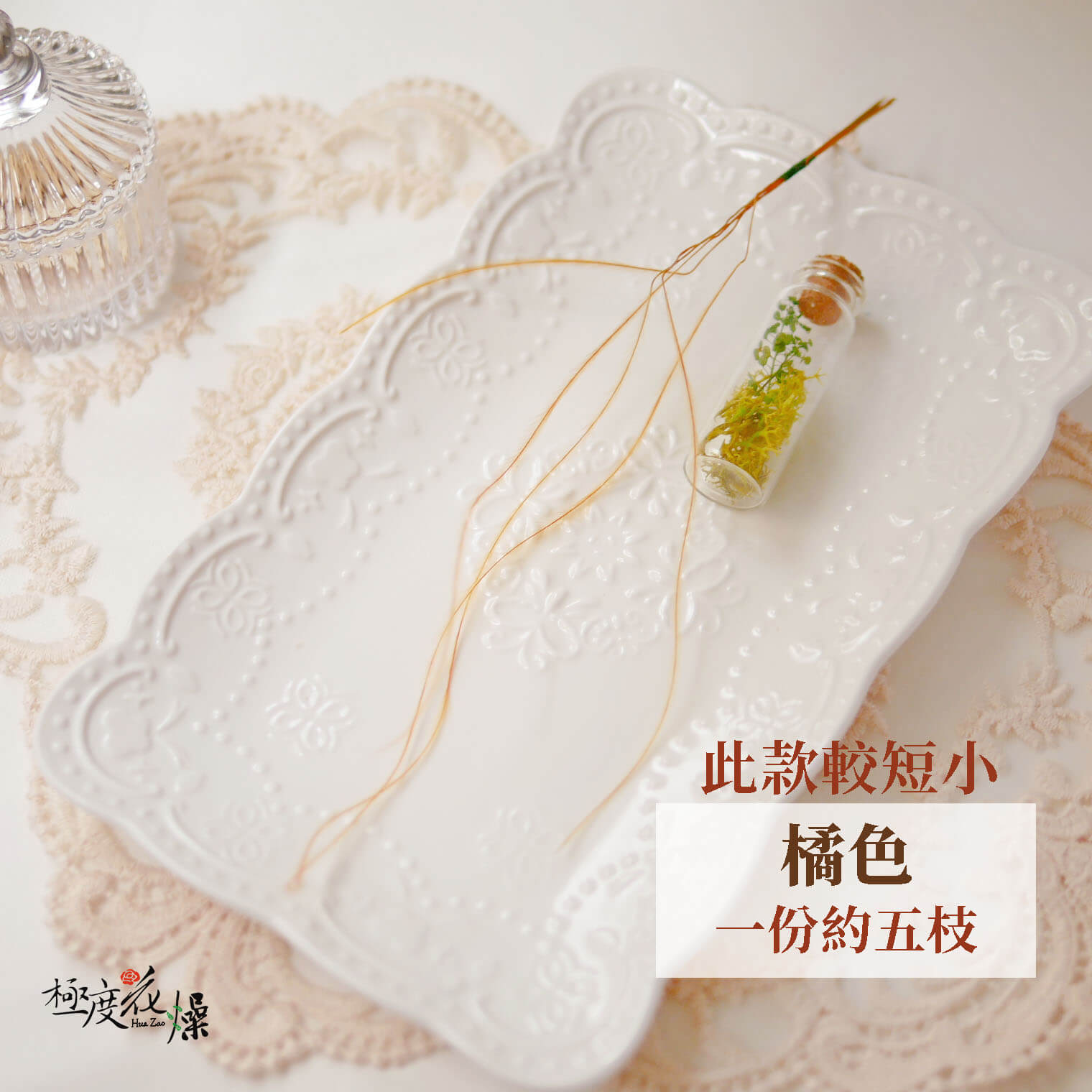 橘色_羽毛草 拷貝_21