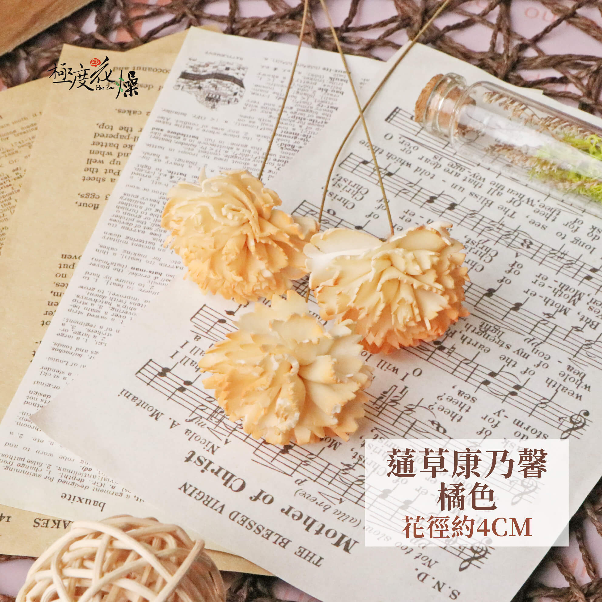 橘色_通草康乃馨