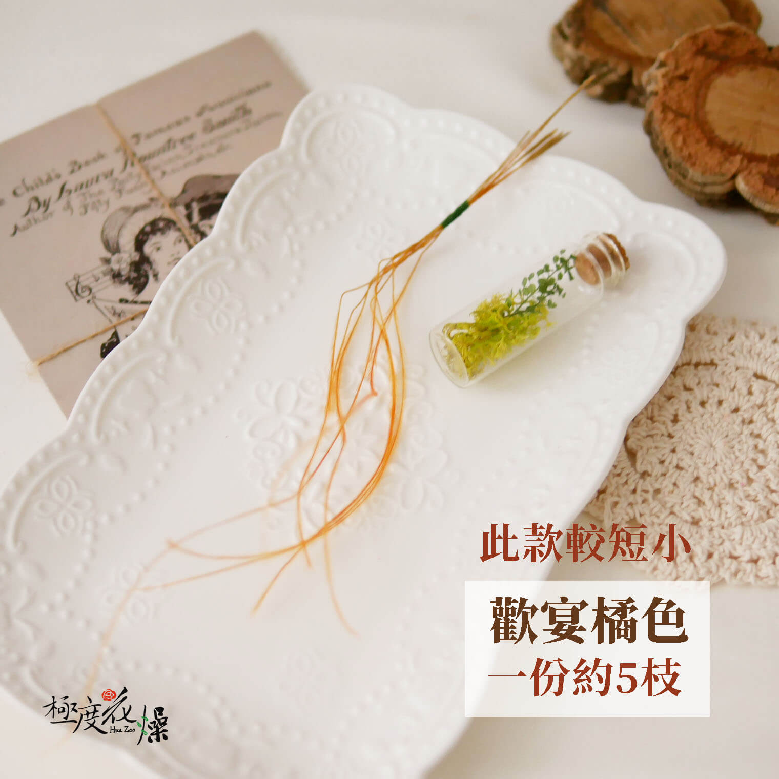 歡宴橘色 _乾燥羽毛草