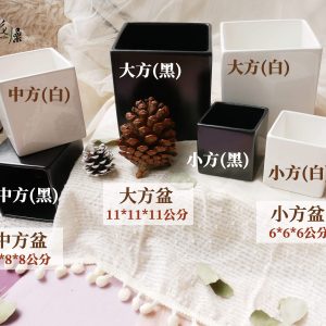 正方盆組_簡約陶瓷盆