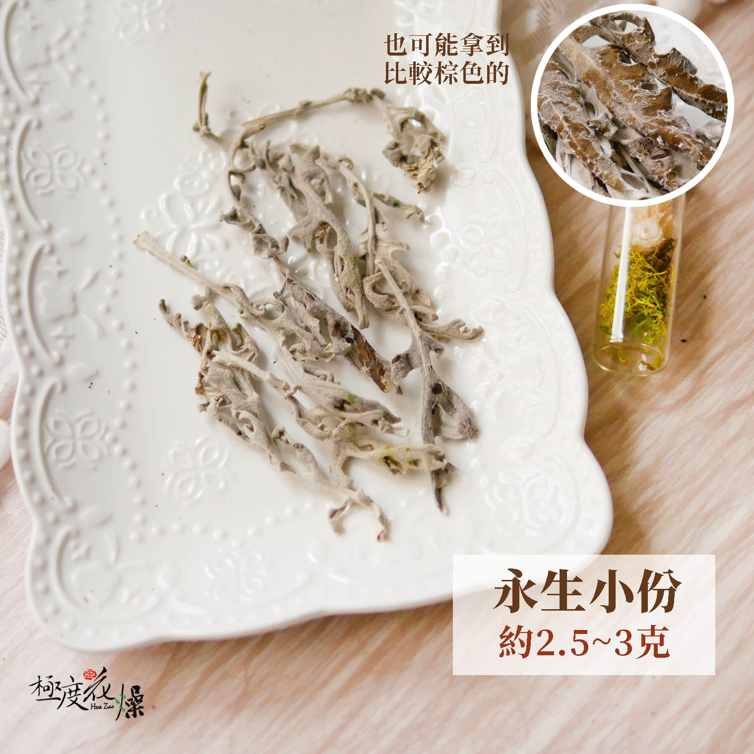 永生小份_銀葉菊 拷貝