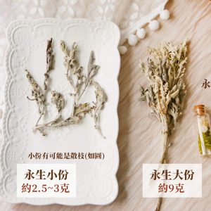 永生規格_銀葉菊 拷貝