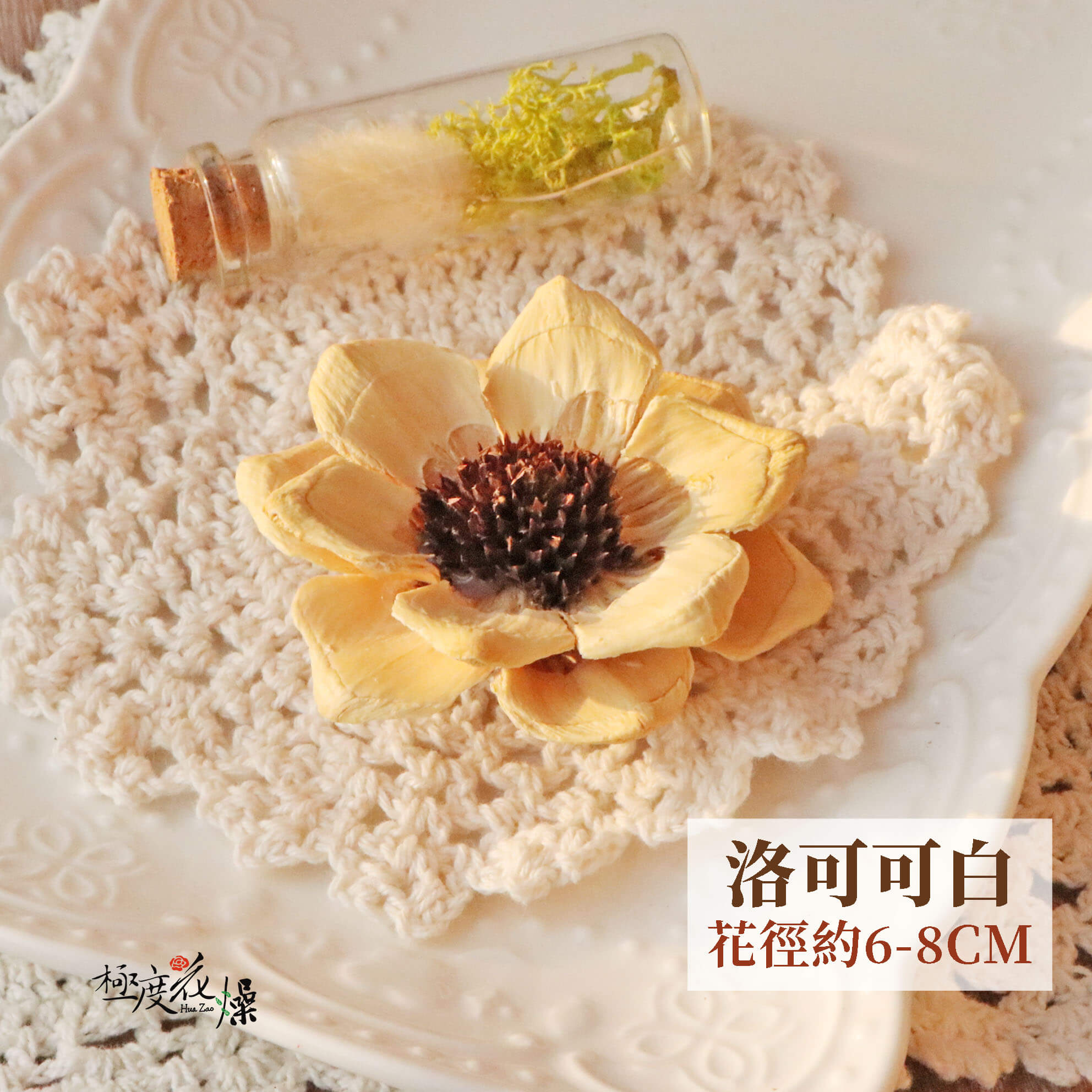 洛可可白 _松花