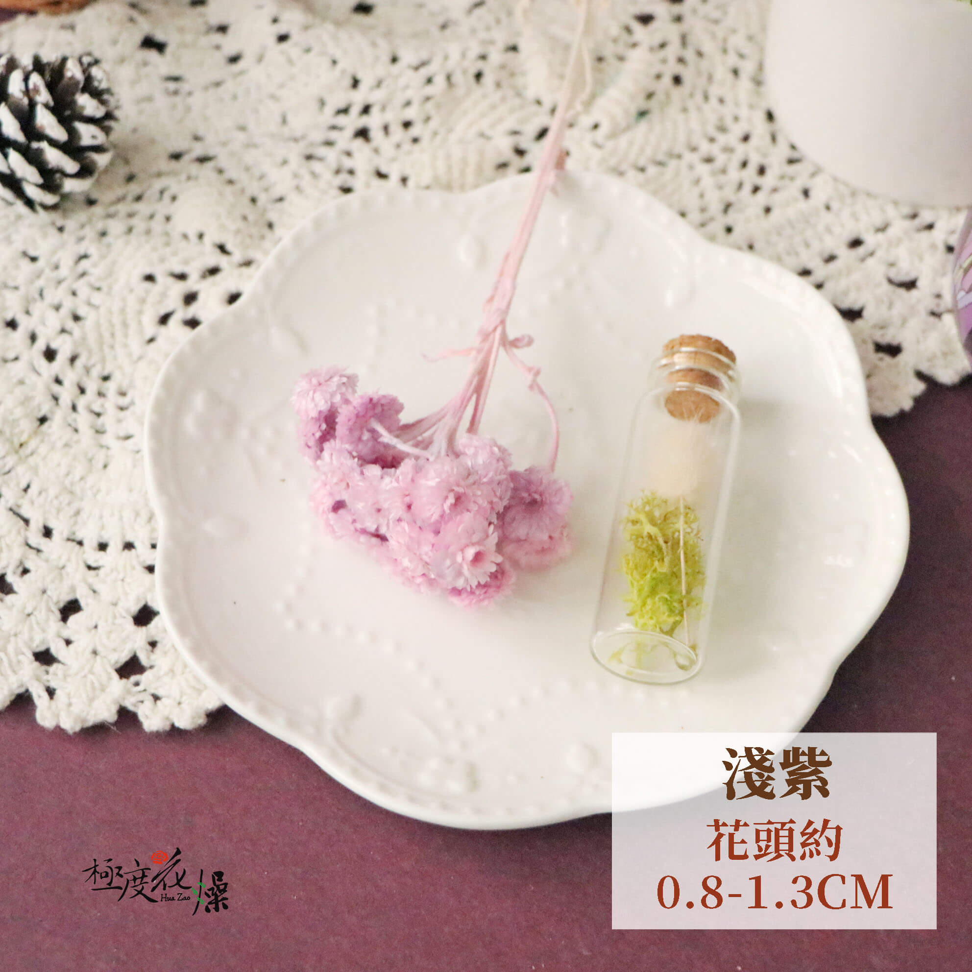 淺紫_蠟菊