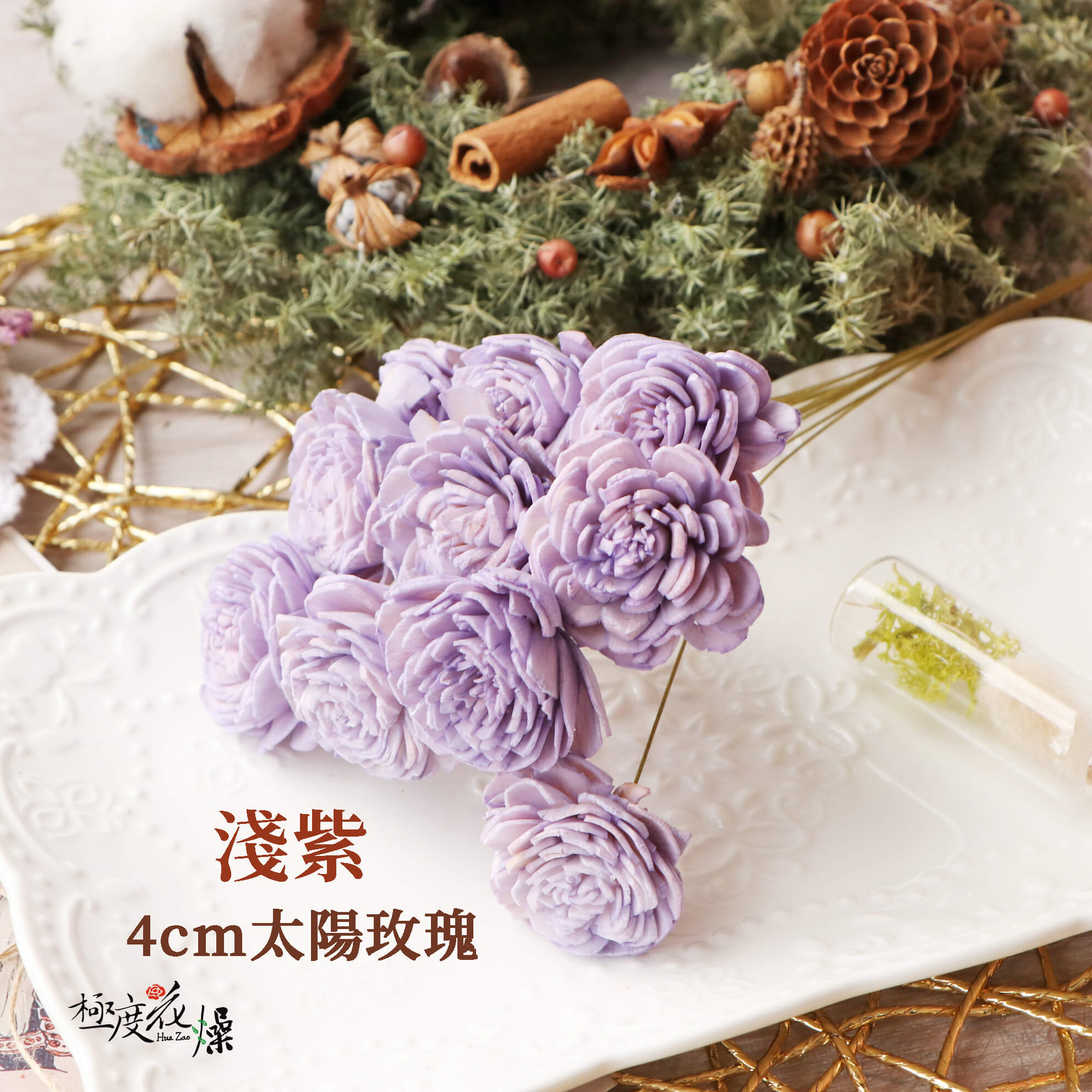 淺紫_4太陽玫瑰