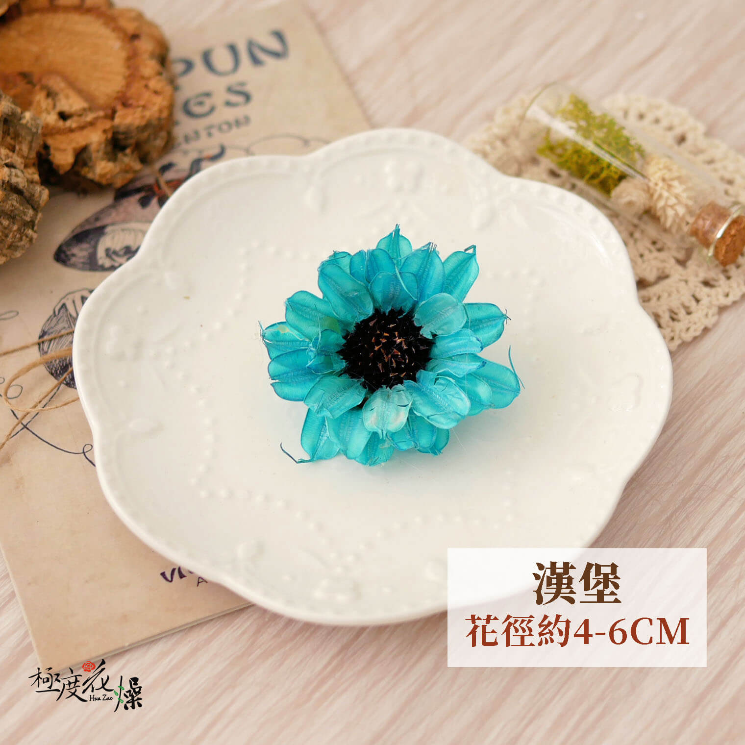 漢堡_荷蘭菊 拷貝