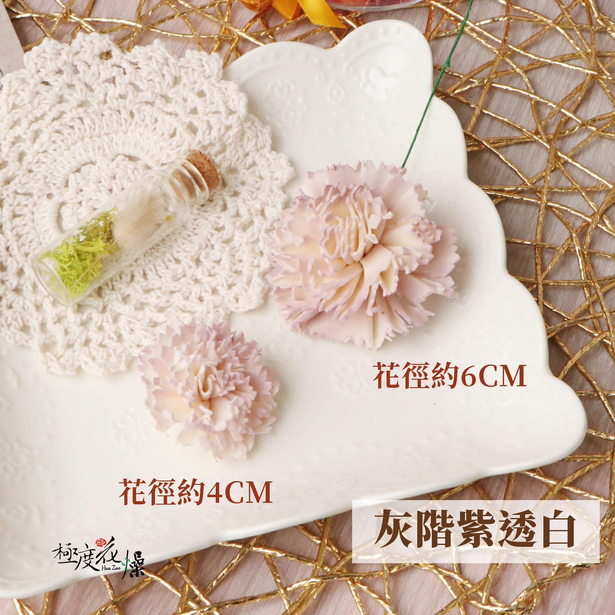灰階紫透白 _蓪草雙色康乃馨