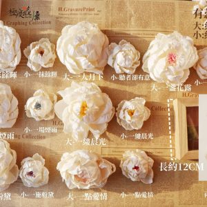 牡丹有蕊_牡丹