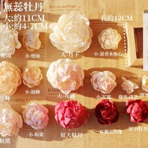 牡丹無蕊_牡丹