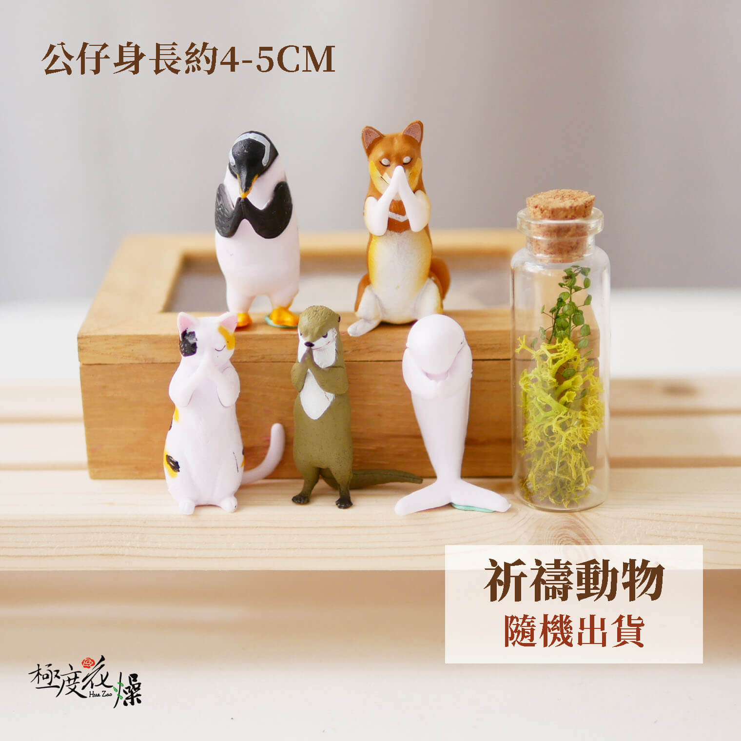 祈禱動物_貓咪公仔