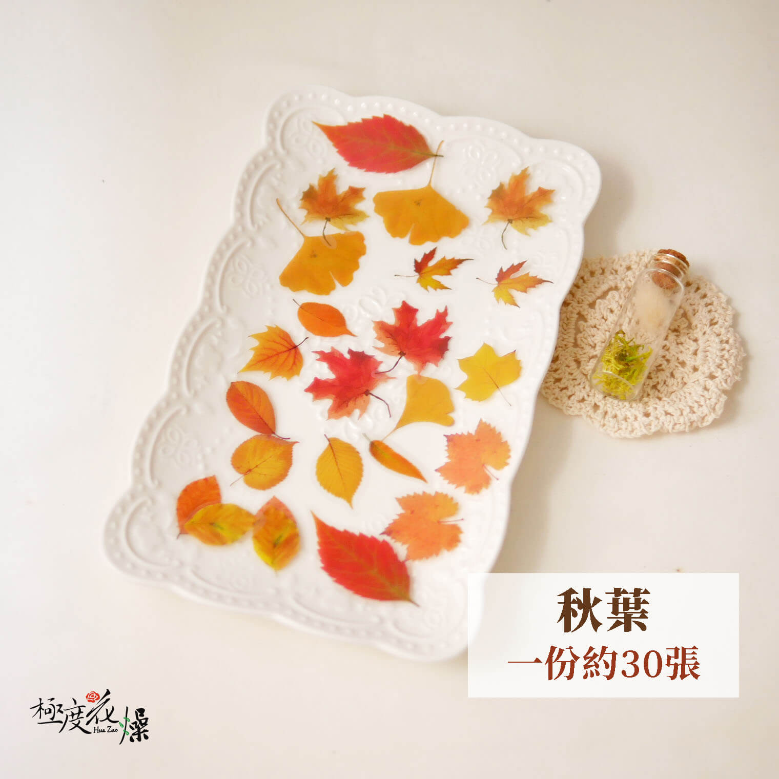 秋葉_透明貼紙