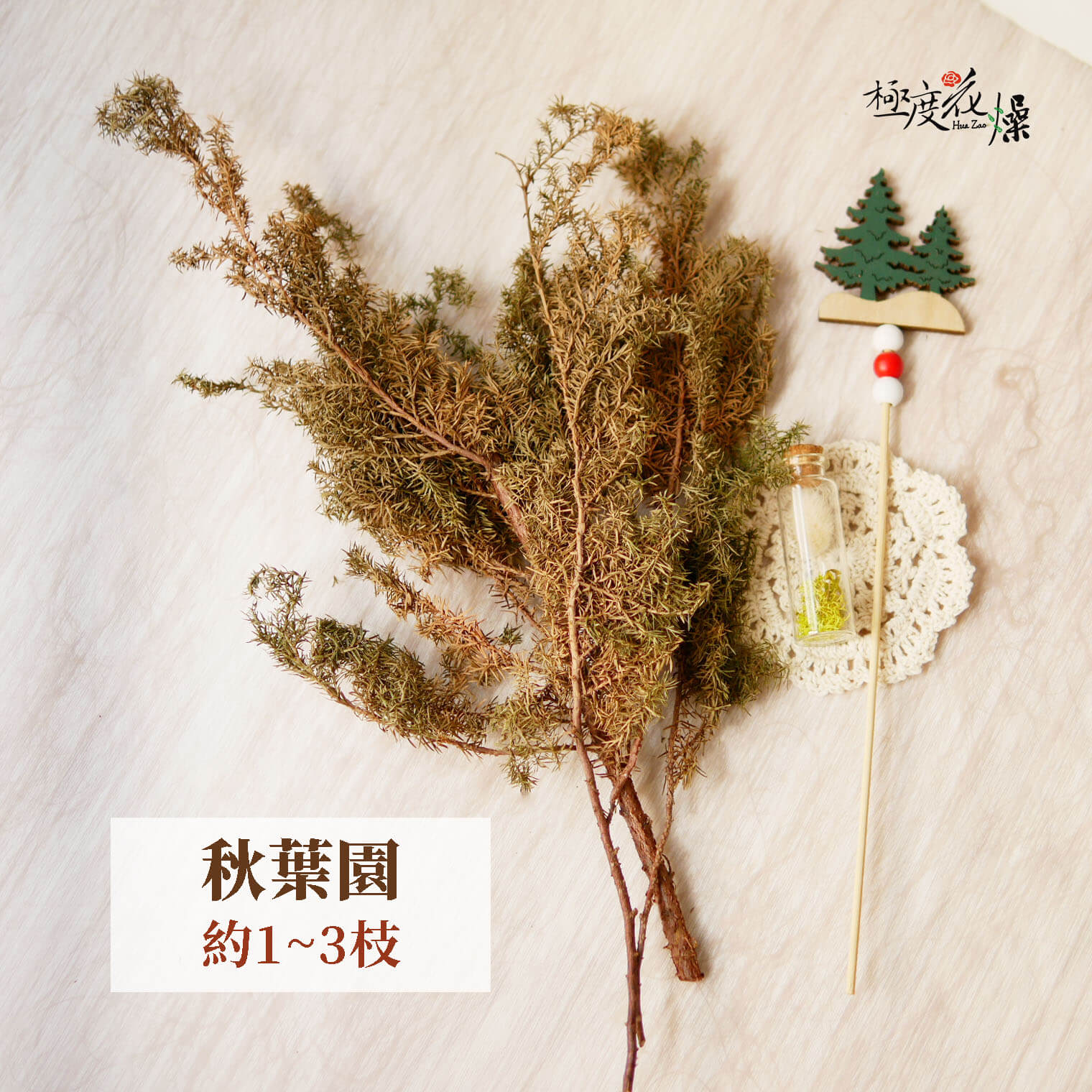 秋葉園(刷橘)_乾燥雪松