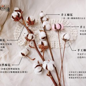 種類_棉花 拷貝1233