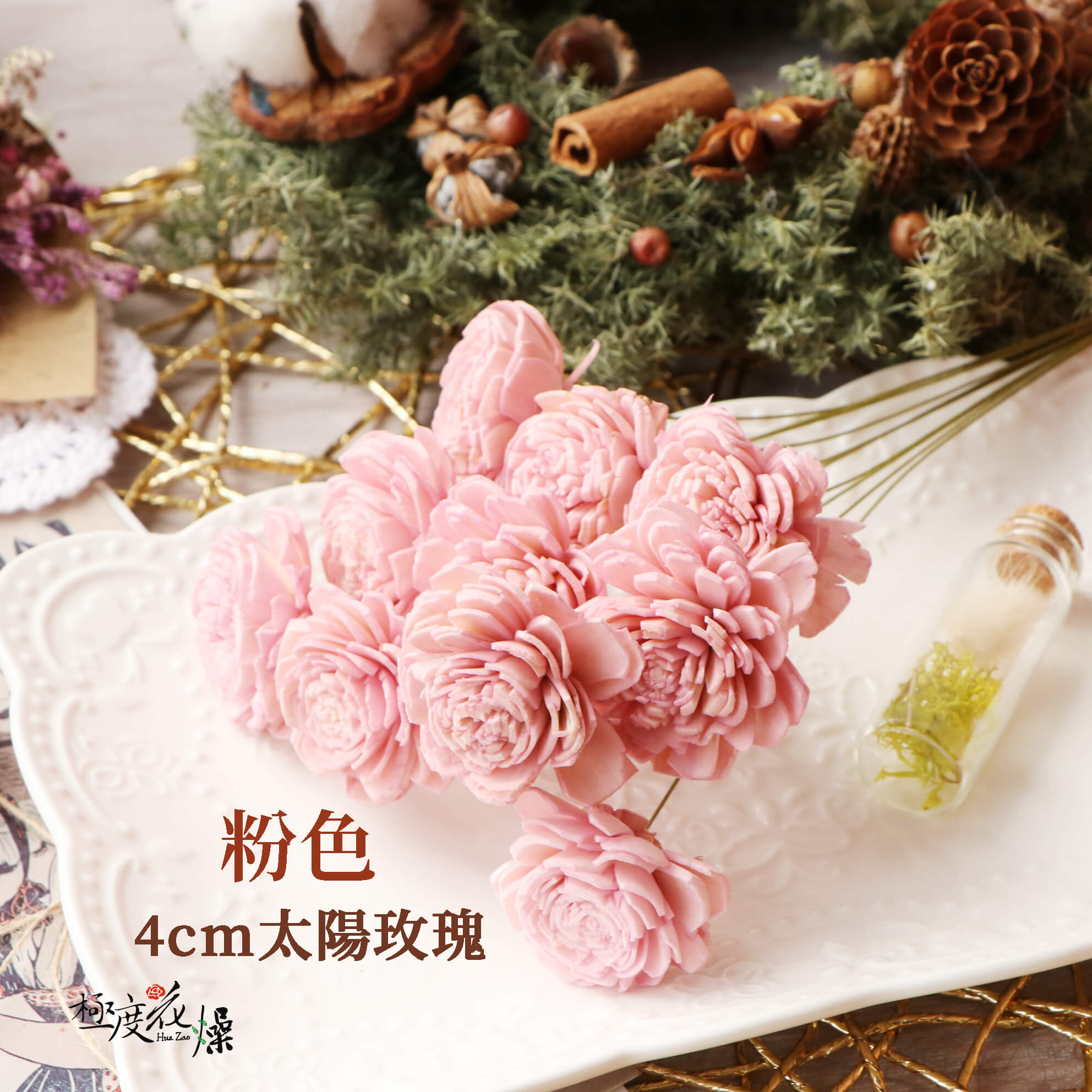 粉色_4太陽玫瑰