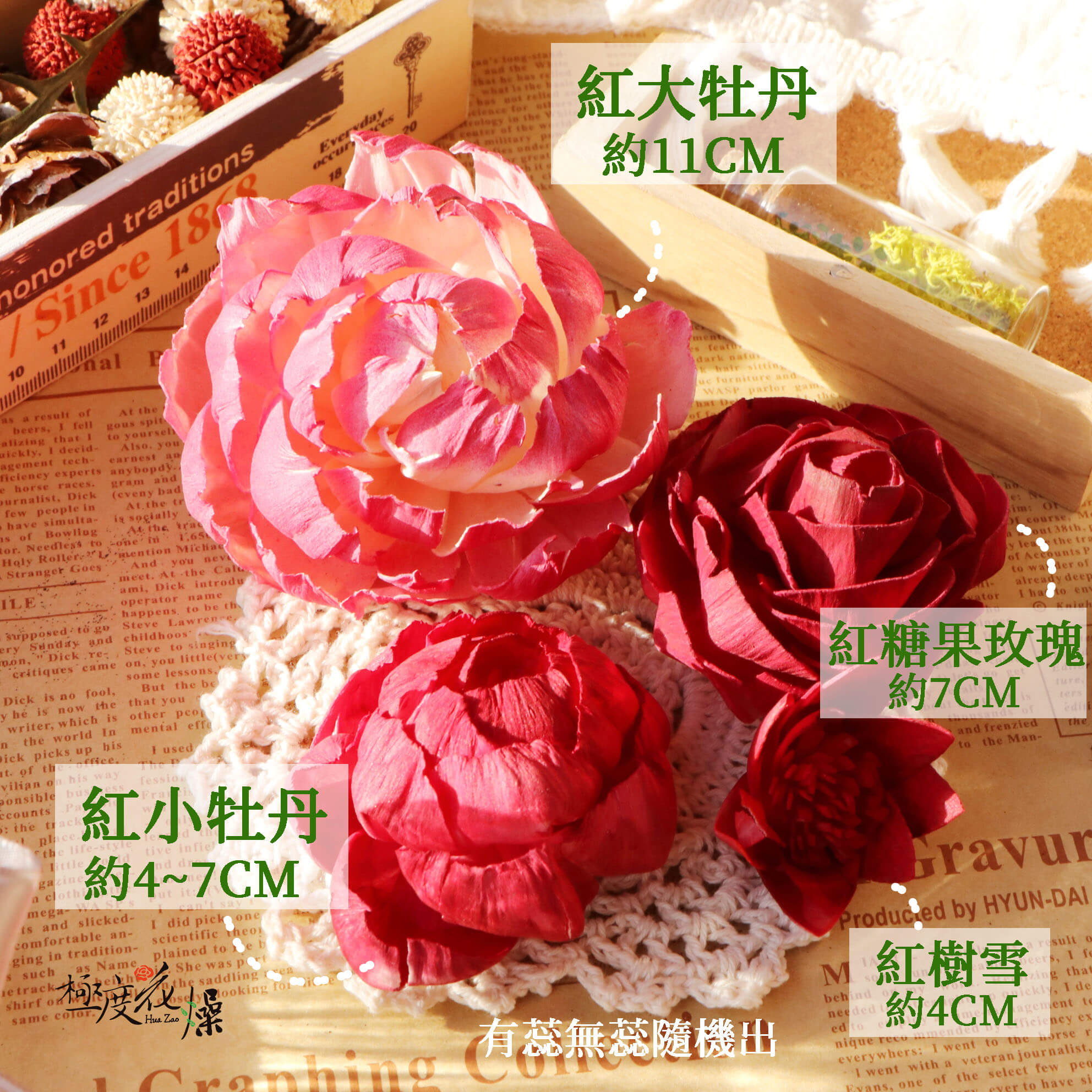 紅_蓪草牡丹:糖果玫瑰 拷貝