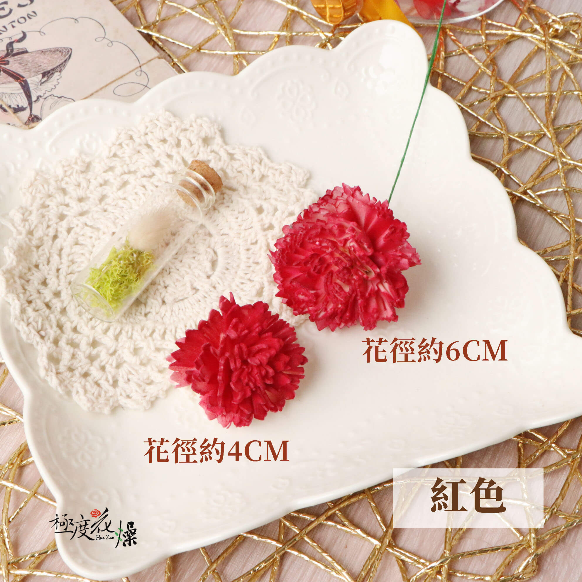 紅色 _蓪草雙色康乃馨