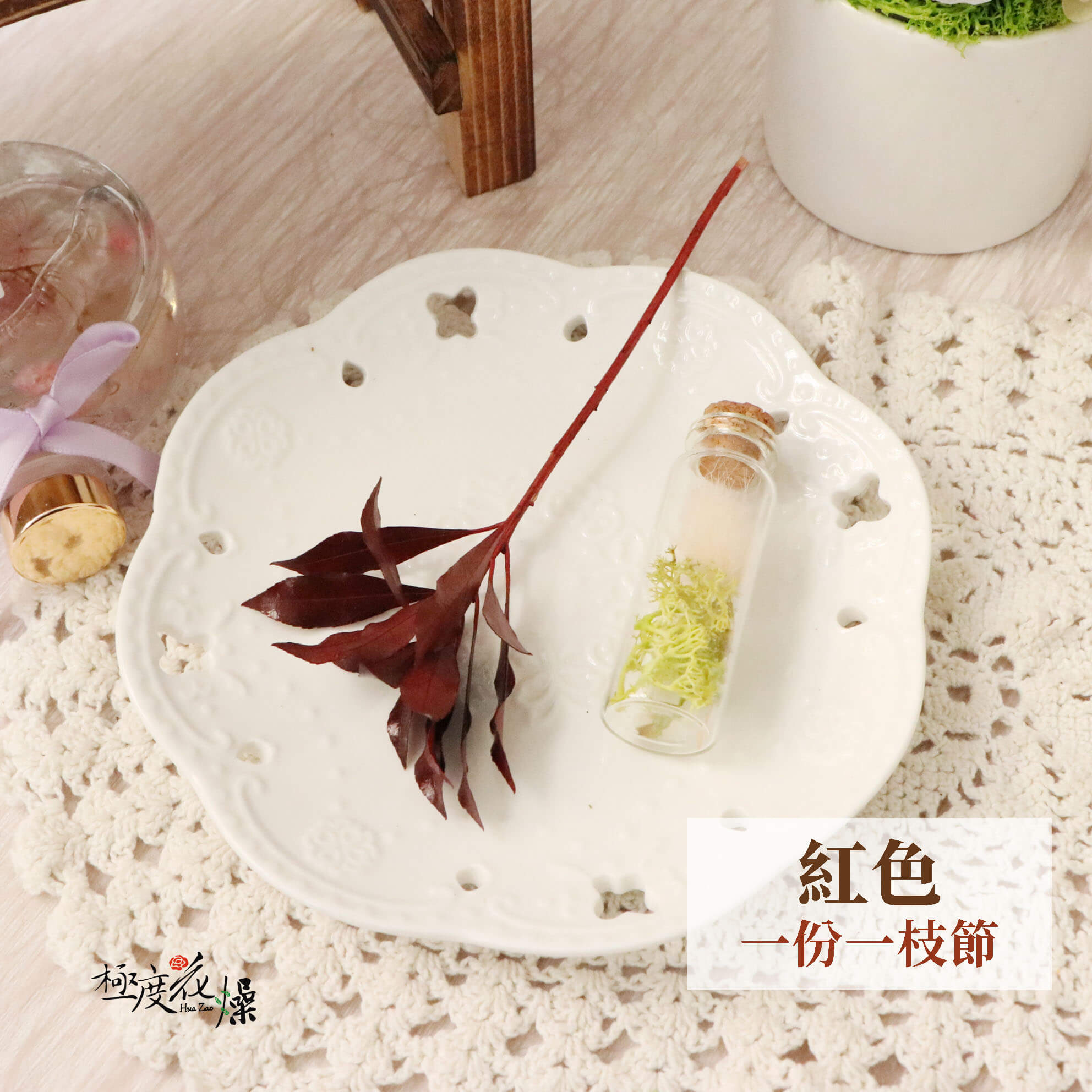 紅色單枝 _馬醉木葉