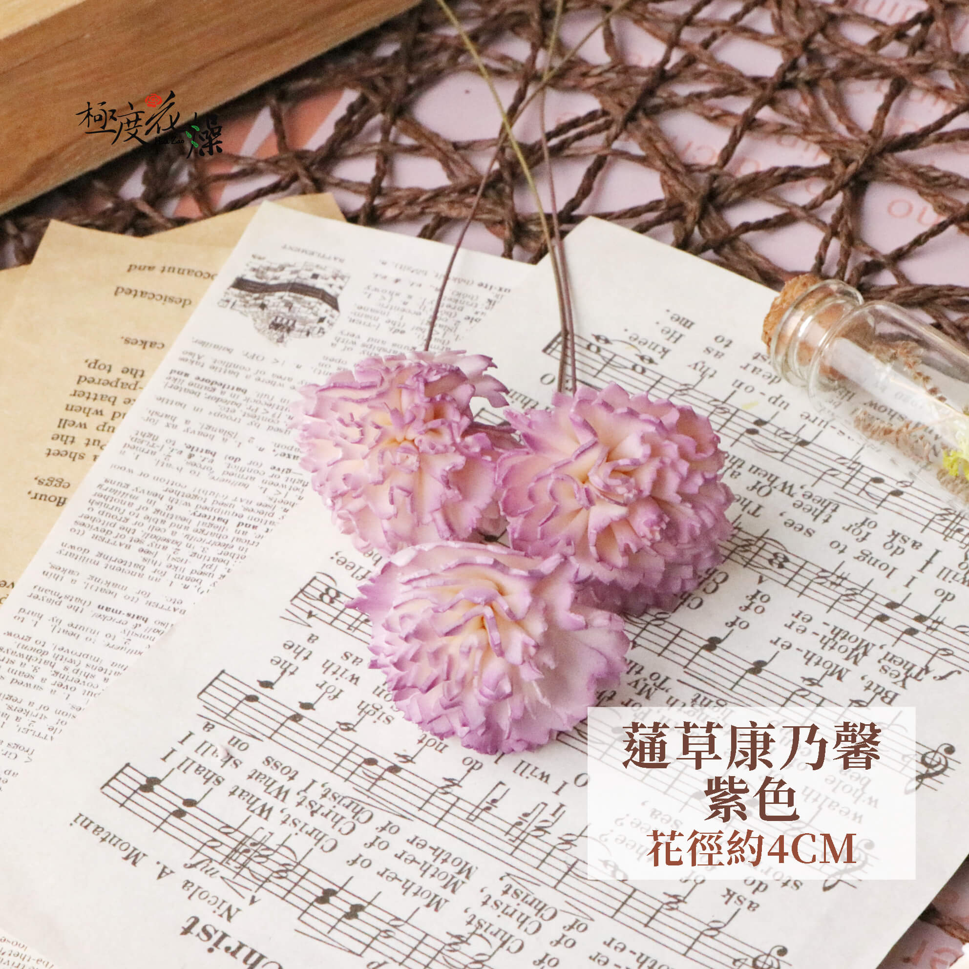 紫色_通草康乃馨