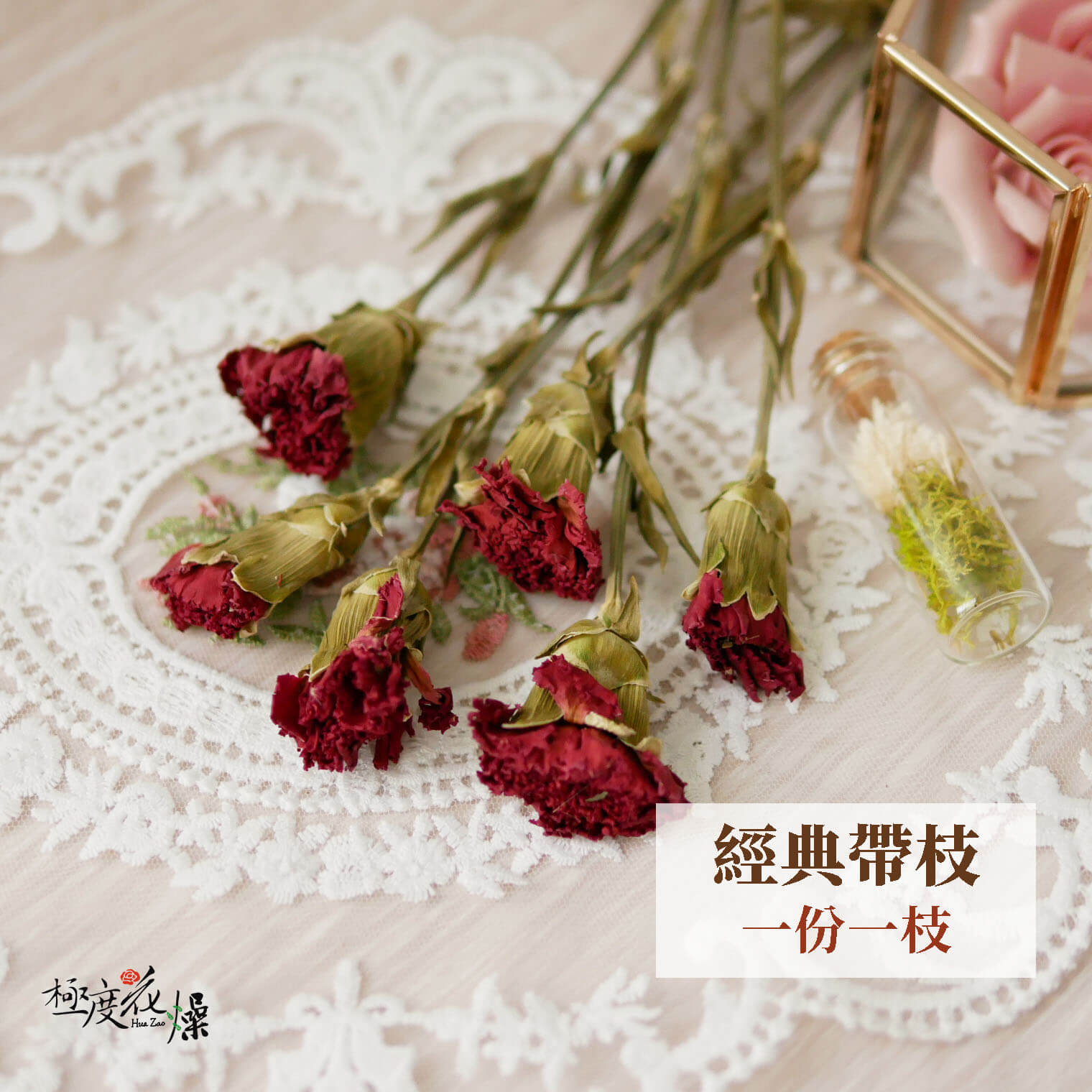 經典_乾燥康乃馨 拷貝